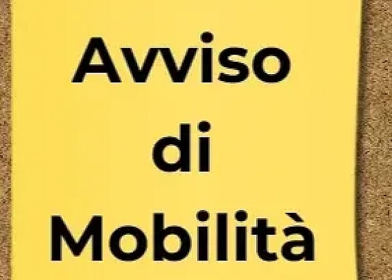 Avviso di mobilità esterna volontaria ai sensi dell'art.30 del D.Lgs. 165/2001 per la copertura a tempo pieno e indeterminato di n.1 posto di Animatore Sociale, Area Istruttori CCNL Funzioni Locali