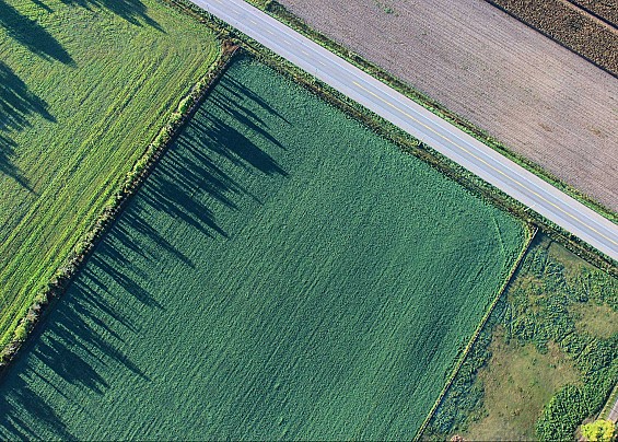 SERVIZIO CIVICO COMUNALE - Interventi di inclusione sociale attiva