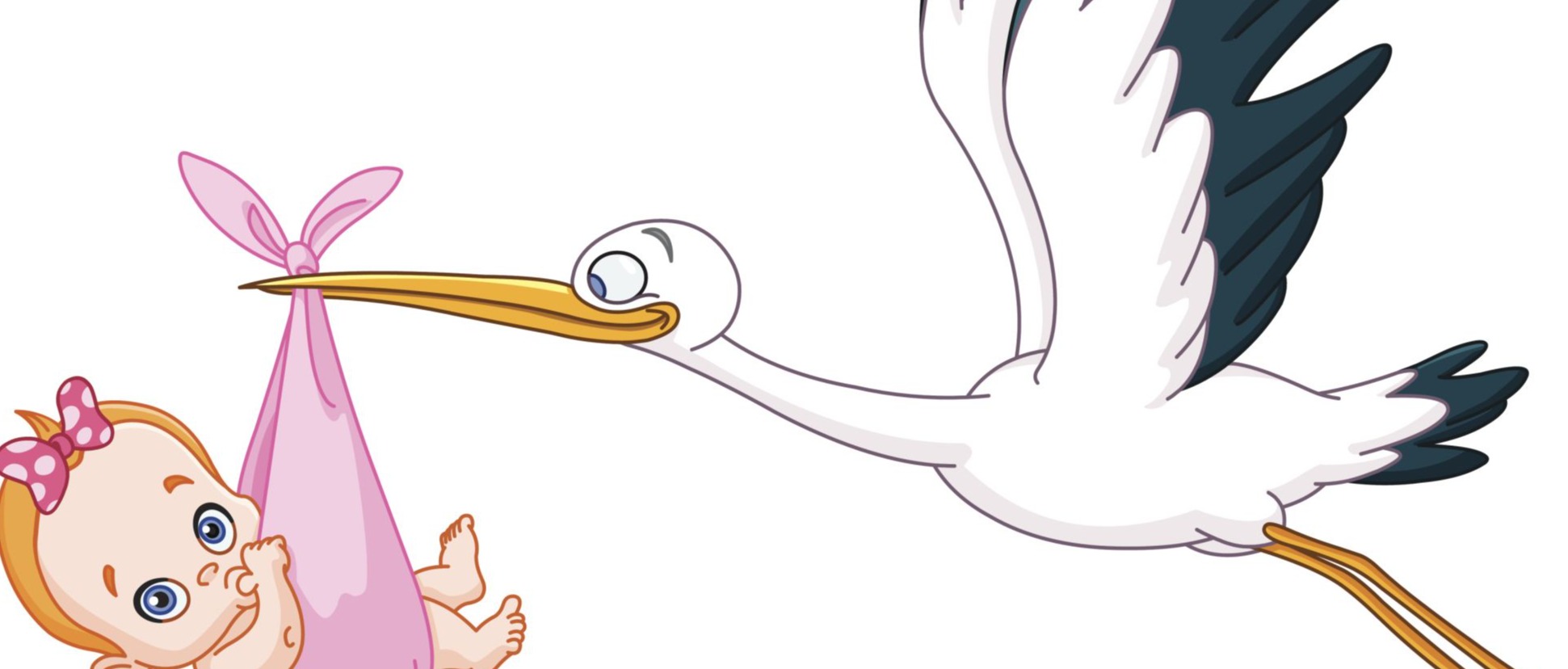 Assegno di natalità anno 2026