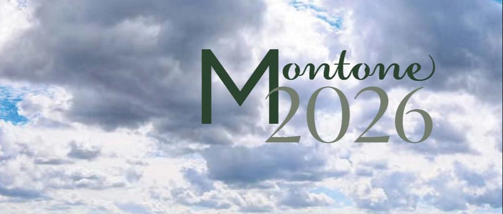 Dizionario Montonese: la tua parola conta!