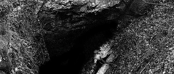 Incontri di lingue e culture nella terra delle foibe