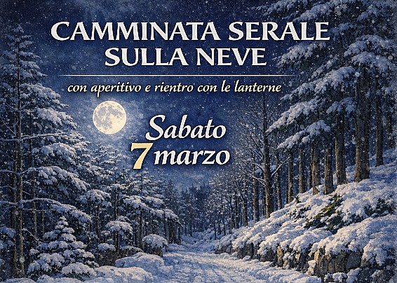 Immagine non trovata