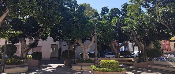 Intervento di messa in sicurezza delle alberature di Piazza Repubblica