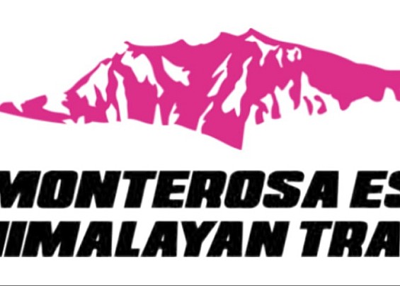 Immagine non trovata