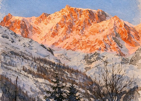 Immagine non trovata