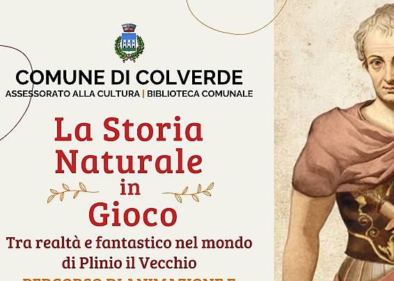 Immagine non trovata