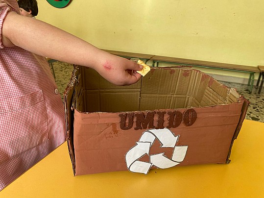 WhatsApp Image 2026-02-11 at 10.12.40