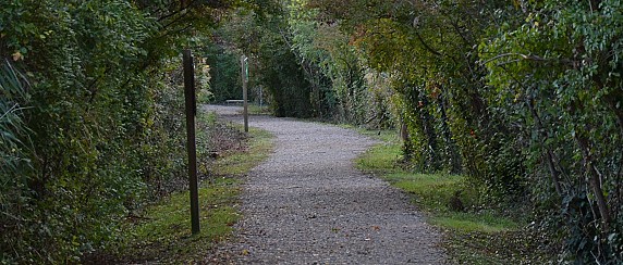 Primo corso di formazione per nuove Guardie Ecologiche Volontarie (GEV)