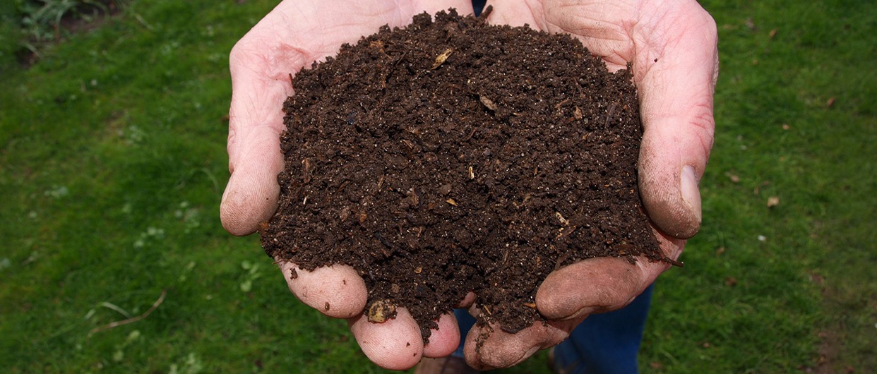 AVVISO ASSEGNAZIONE GRATUITA COMPOSTIERE