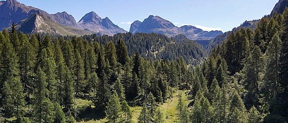 Avviso per la formazione di un elenco di n. 4 aspiranti operai agricolo - forestali a tempo determinato  Comunità Montana Valle Brembana