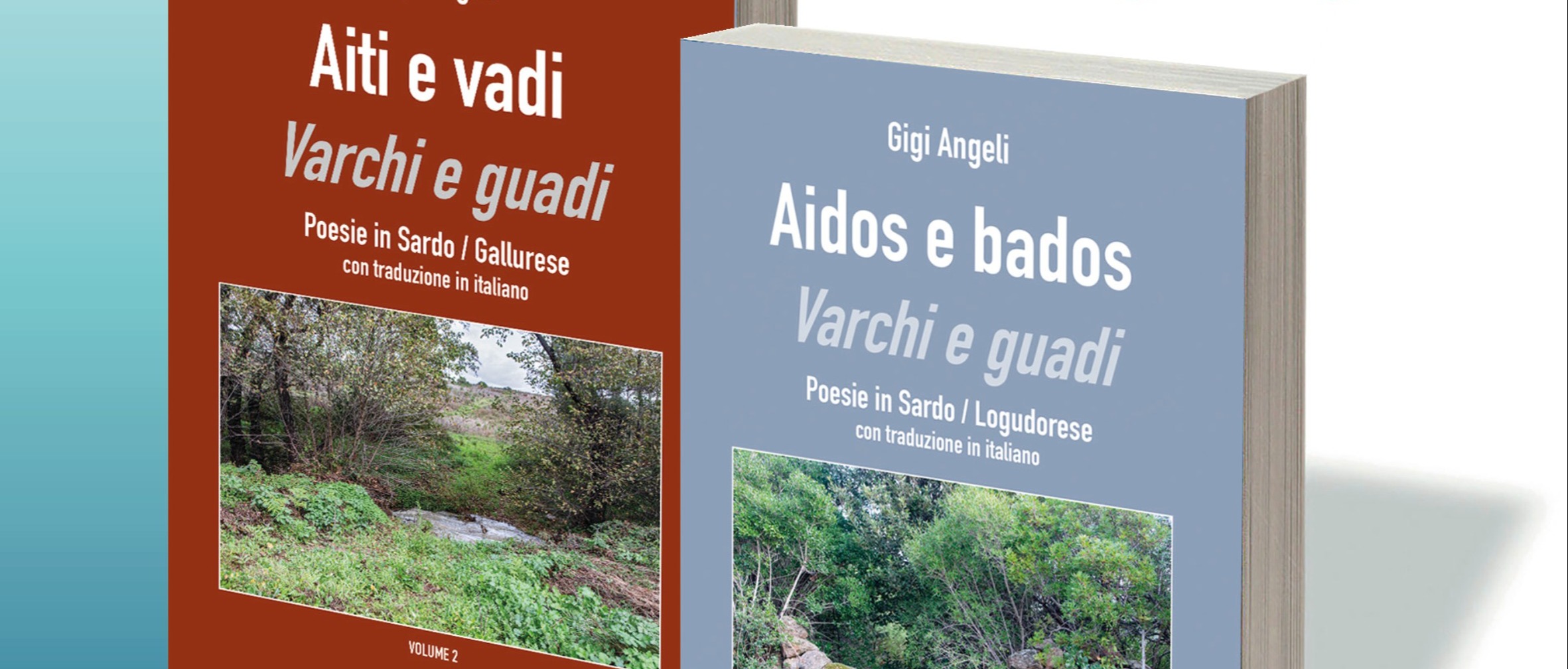 “Presenta il tuo libro con noi”: ecco le produzioni di Gigi Angeli