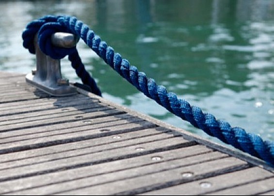 Immagine non trovata