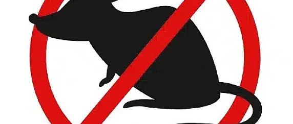 Comune di Forino: intervento di derattizzazione programmato per martedì 17 febbraio