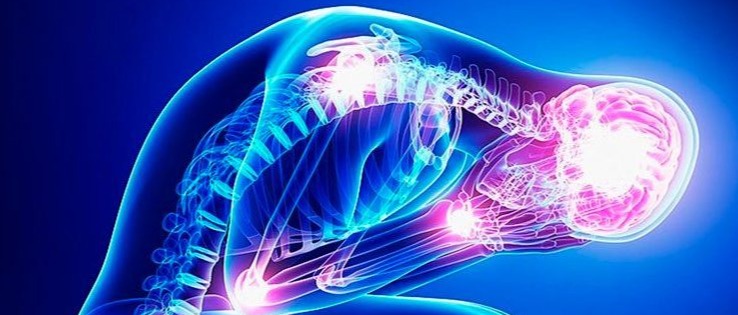 Indennità Regionale Fibromialgia annualità 2026