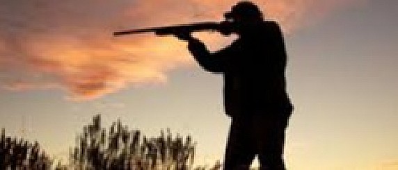 Riconsegna  foglio venatorio entro il 1 MARZO 2026