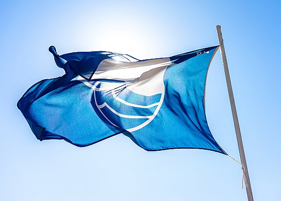 Immagine non trovata