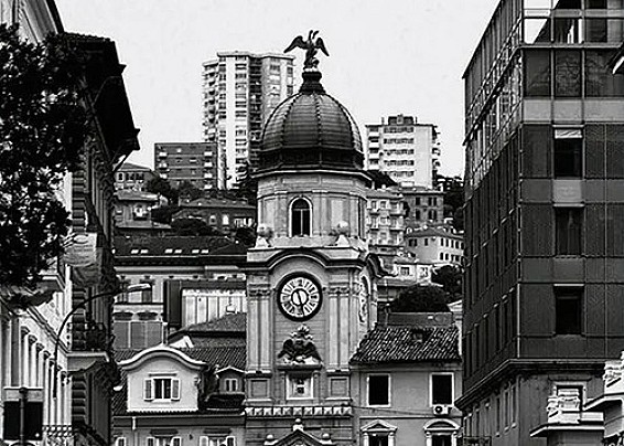 Immagine non trovata