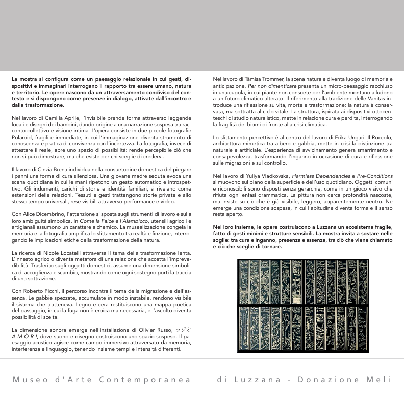 Immagine 2026-02-12 100613