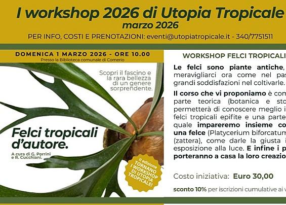 ASSOCIAZIONE UTOPIA TROPICALE - eventi@utopiatropicale.it