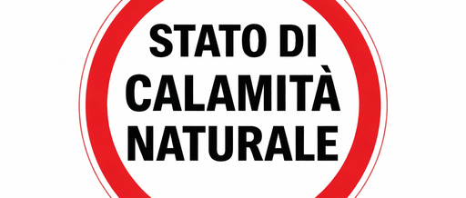STATO DI CALAMITA' NATURALE