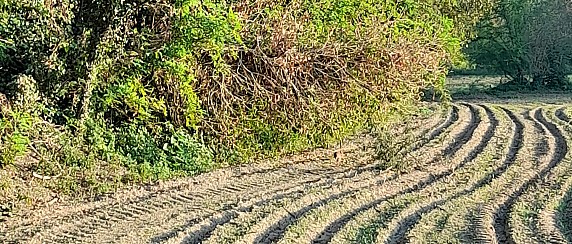 Parco del Serio. Progetto "Custodire comunità rurali"