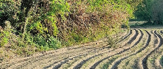 Parco del Serio. Progetto "Custodire comunità rurali"