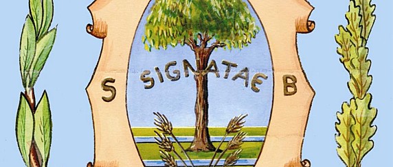 Consiglio Comunale - Sessione straordinaria