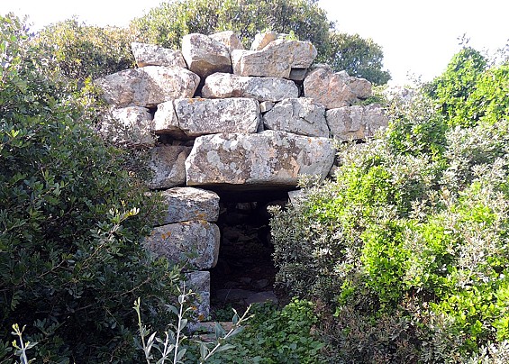 Immagine non trovata