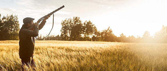 Restituzione foglio venatorio