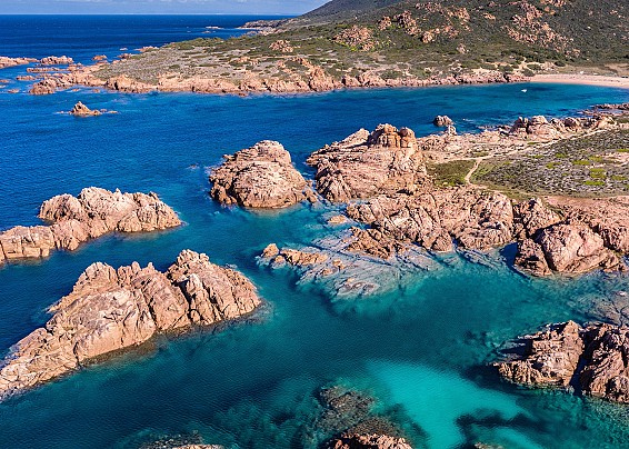 Immagine non trovata