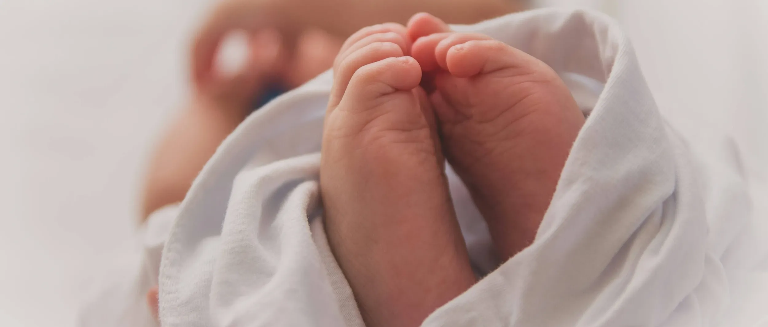 ASSEGNO DI NATALITA’ – ANNUALITA’ 2026