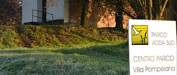 Giornata nel bosco con l’associazione AsinoFenice