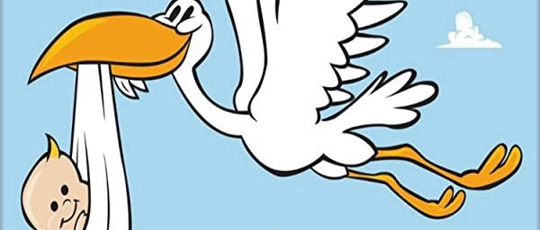 AVVISO PUBBLICO ASSEGNO NATALITA’