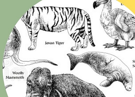 Immagine non trovata