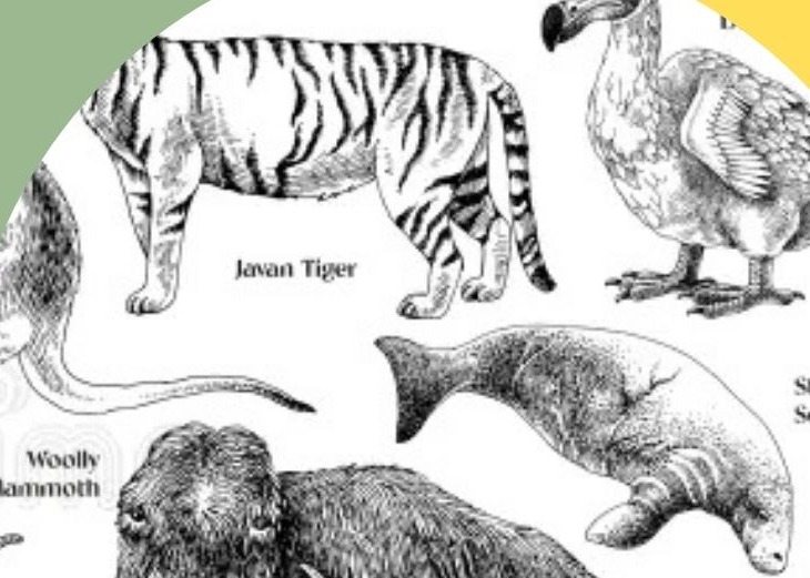 Immagine non trovata