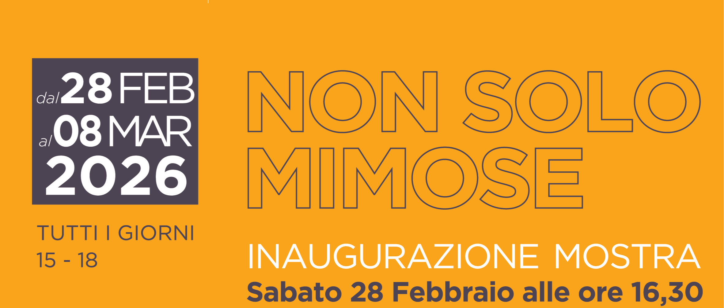 Non solo  mimose 2026