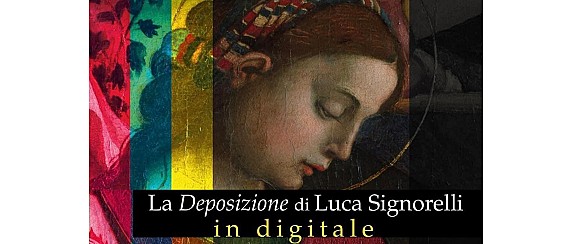 Signorelli in Digitale