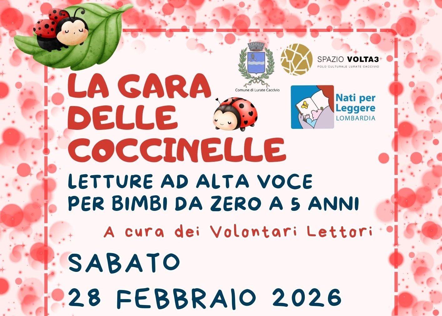 Immagine non trovata