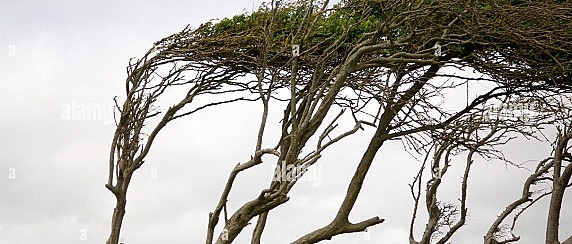 Evento calamitoso per piogge persistenti, venti di forte intensità e mareggiate. Dichiarazione stato di calamità naturale dal 20/12/2025 al 17/025/2026