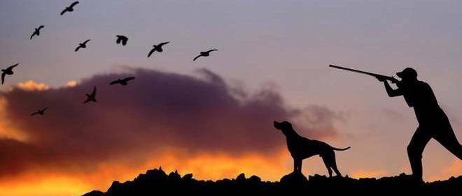 Avviso ai cacciatori. Restituzione foglio venatorio