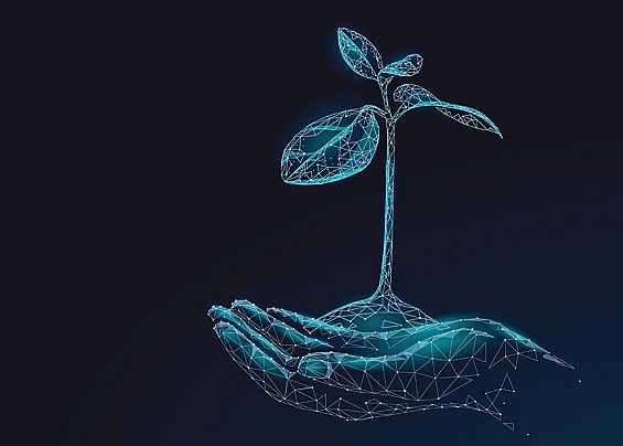 Aggiornamento versione 3.6.66