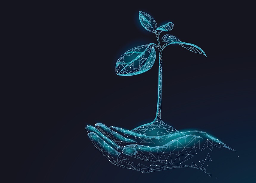 Aggiornamento versione 3.6.66