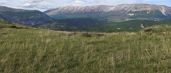 Avviso per l'assegnazione in Fida pascolo  o in esclusiva dei terreni gravati da uso civico per il pascolo per l'anno 2026