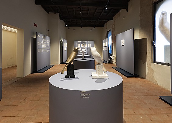 Regina. Sperimentatrice geniale.