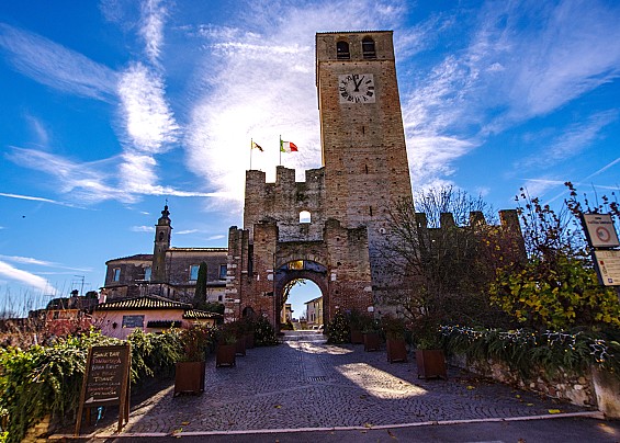 Immagine non trovata