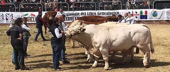 Sabato 11 e domenica 12 aprile la Fiera zootecnica e Agro alimentare di Ozieri. Scarica moduli di adesione.