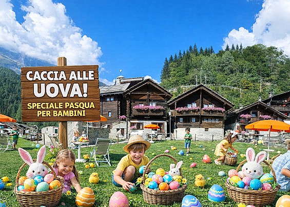 Immagine non trovata