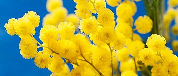 MANIFESTAZIONE 8 MARZO 2026, ALLE ORE 18.00