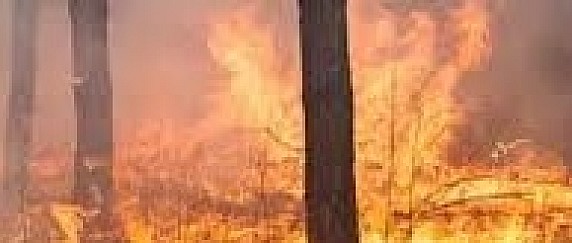 Catasto dei soprassuoli percorsi dal fuoco