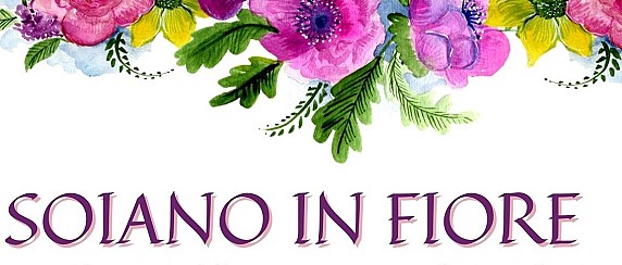 Immagine non trovata